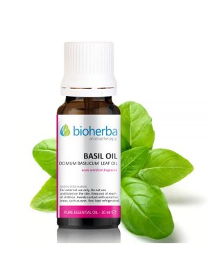 Essential oils of basil 10ml.